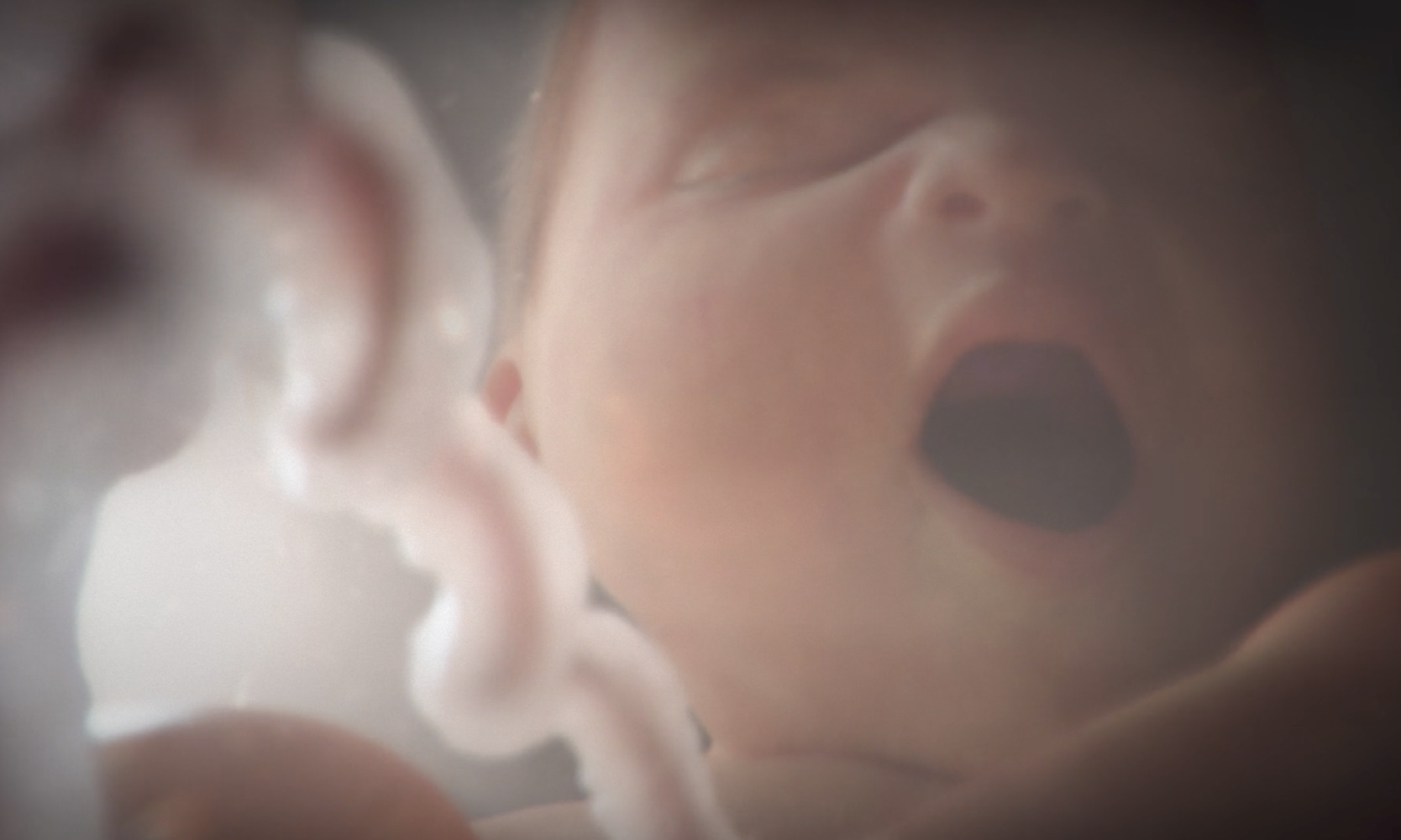 British Heart Association