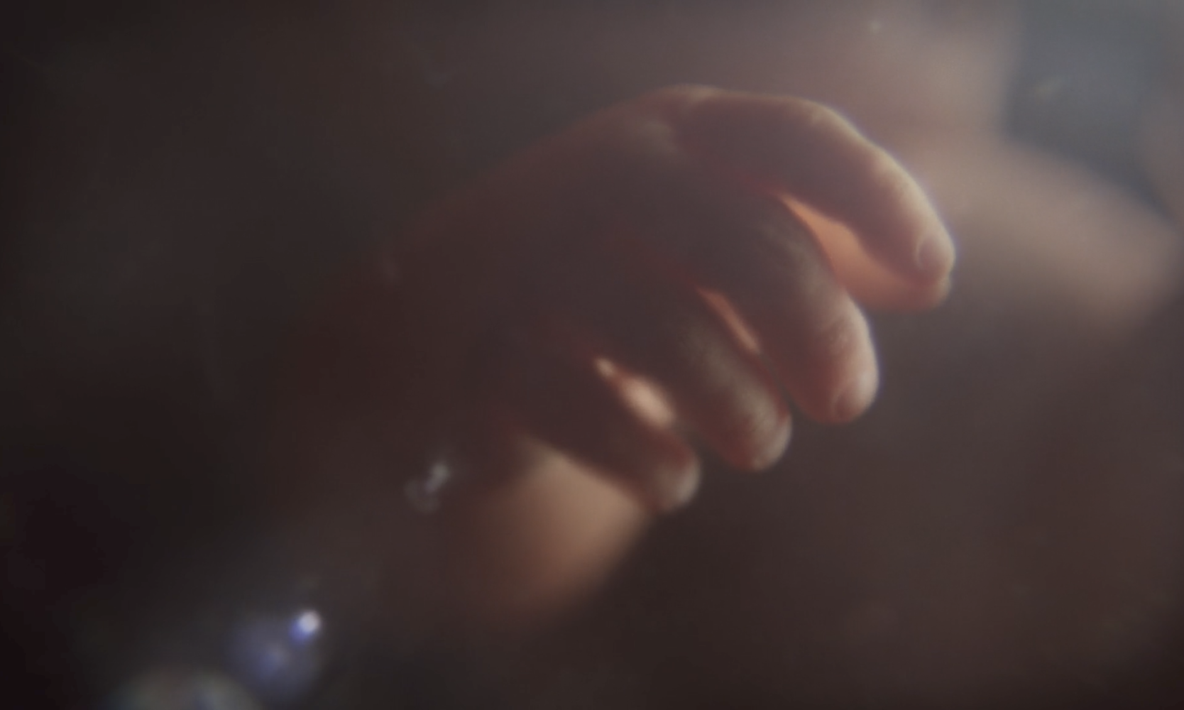 British Heart Association