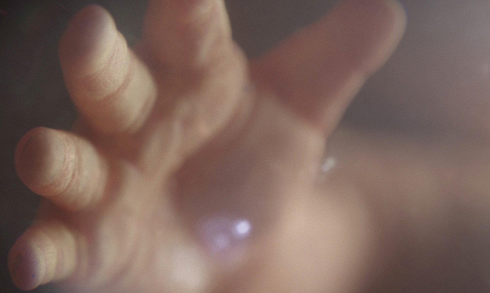 British Heart Foundation « Baby »