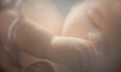 british heart foundation 2