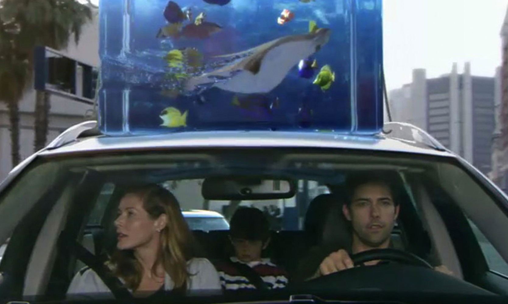 Samsung “Wonder-Full”