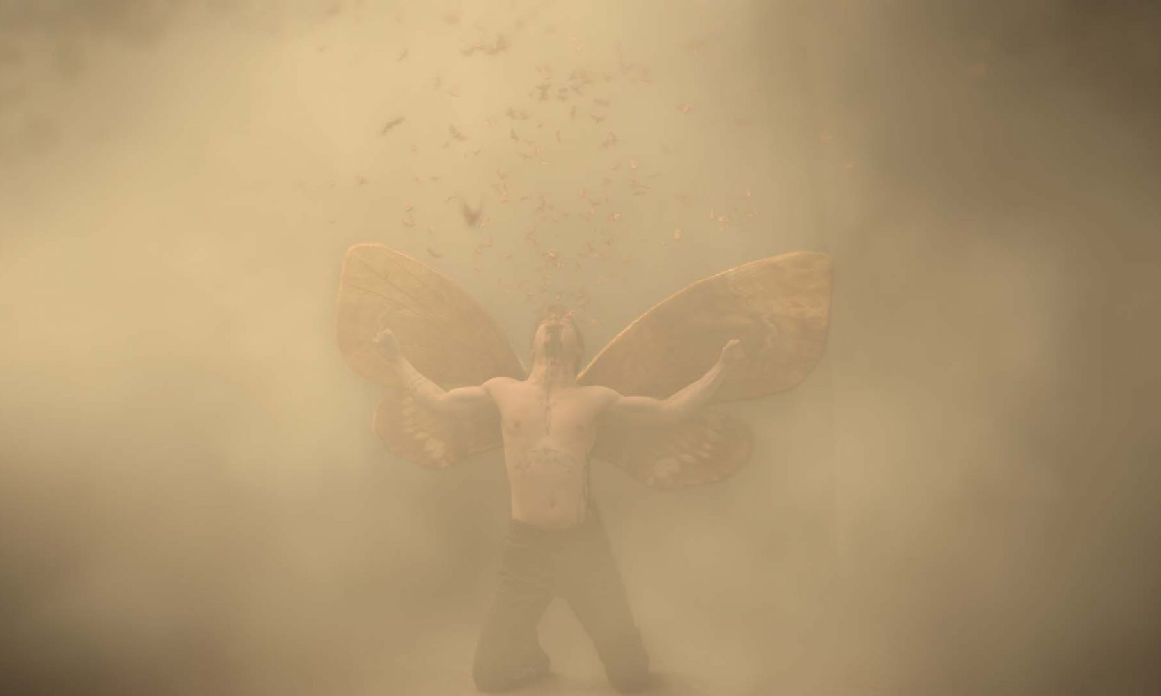 th027160 comp v039.1065