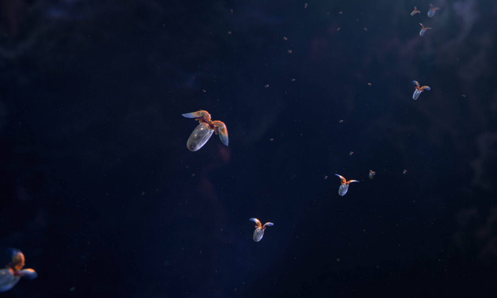 DeadlyBeauty 10 1668x1000