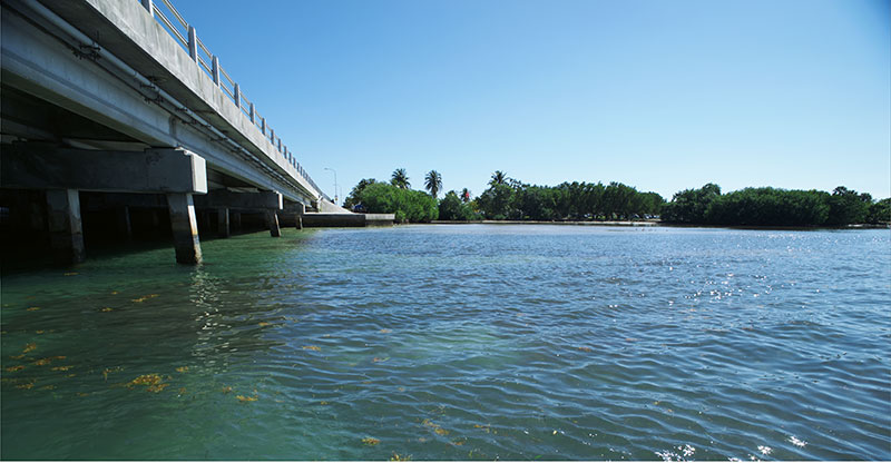 DD2 蓝甲虫板QC 1023