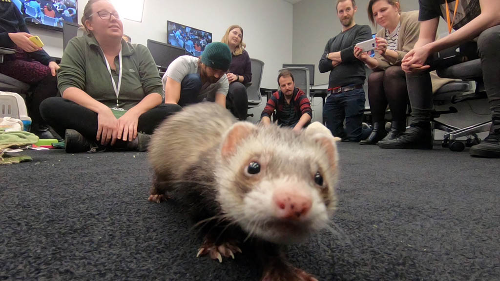 Framestore (框架存储)